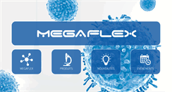 Desktop Screenshot of megaflex.ma